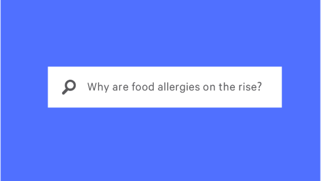 internet search for "why are food allergies on the rise?"